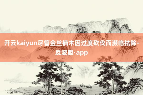 开云kaiyun尽管金丝楠木因过度砍伐而濒临祛除-反波胆·app