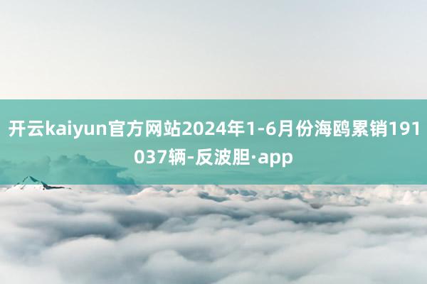 开云kaiyun官方网站2024年1-6月份海鸥累销191037辆-反波胆·app