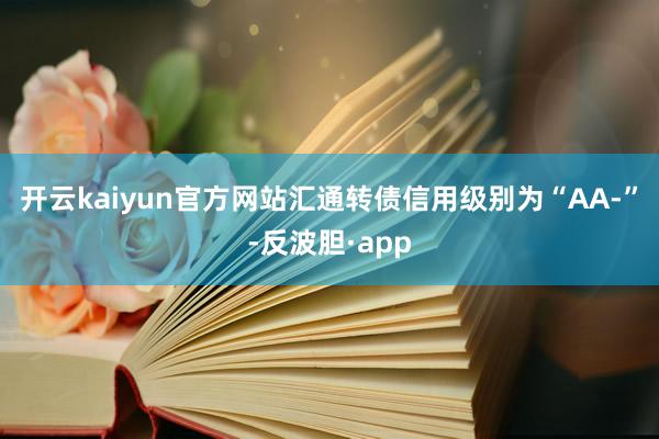 开云kaiyun官方网站汇通转债信用级别为“AA-”-反波胆·app