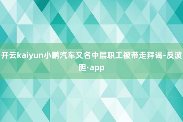 开云kaiyun小鹏汽车又名中层职工被带走拜谒-反波胆·app