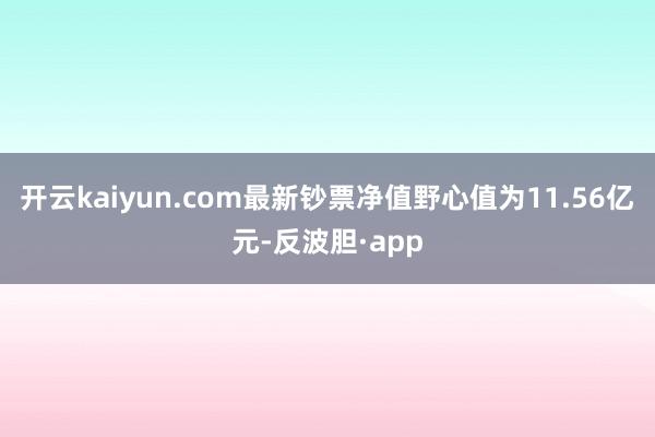 开云kaiyun.com最新钞票净值野心值为11.56亿元-反波胆·app