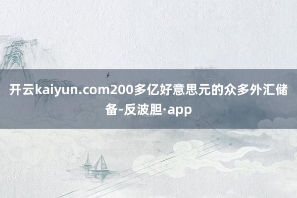 开云kaiyun.com200多亿好意思元的众多外汇储备-反波胆·app